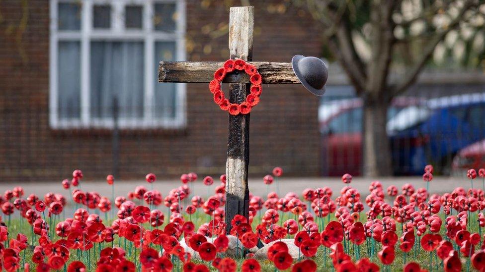 Poppies on roundabout