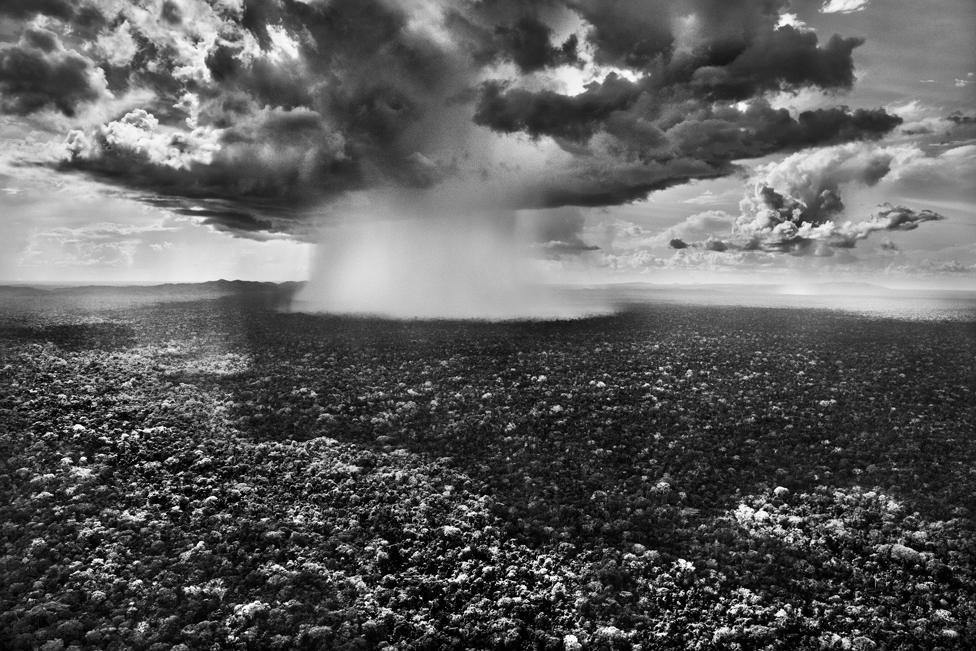 Black and white photograph of a rain cloud above forest