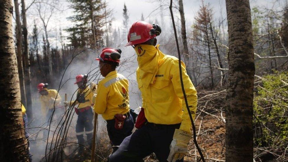 A group of South African firefighters working in Canada