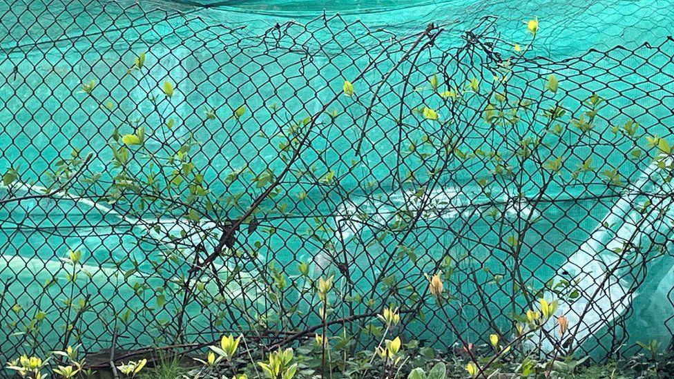 A number of vehicles are visible parked in a concrete yard, partially obscured by a wire fence covered with a green mesh type fabric 