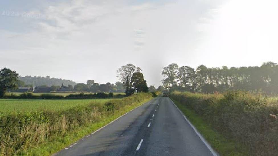 A rural road, with fields on both sides and a line of trees in the distance 