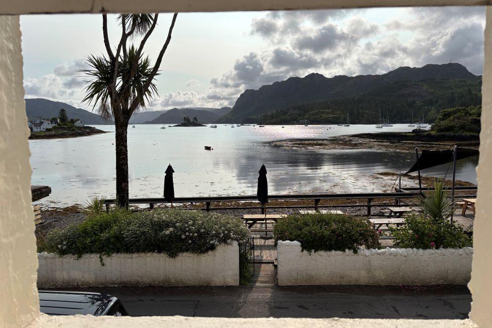 There is a palm tree in front of the bay. On the far side of the water are mountains.