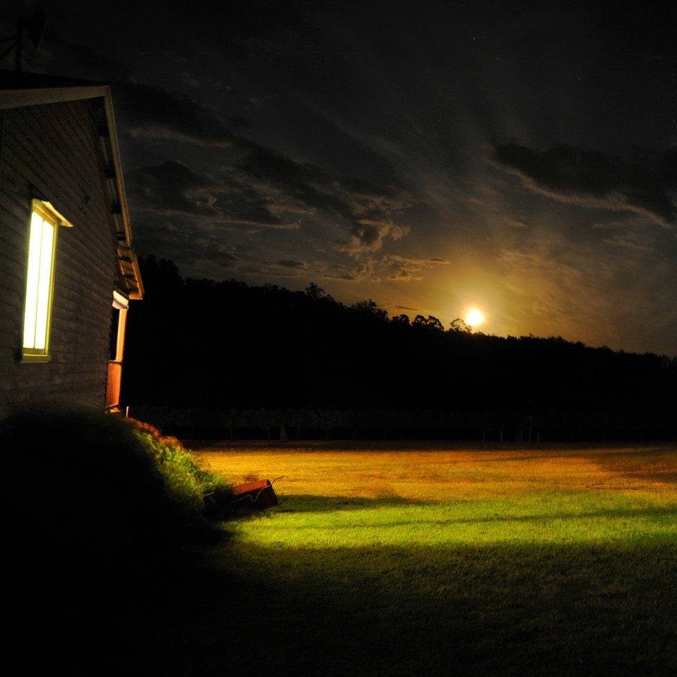 An image of a sun setting over a line trees with a house in the foreground