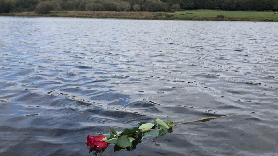 Rose in the lake