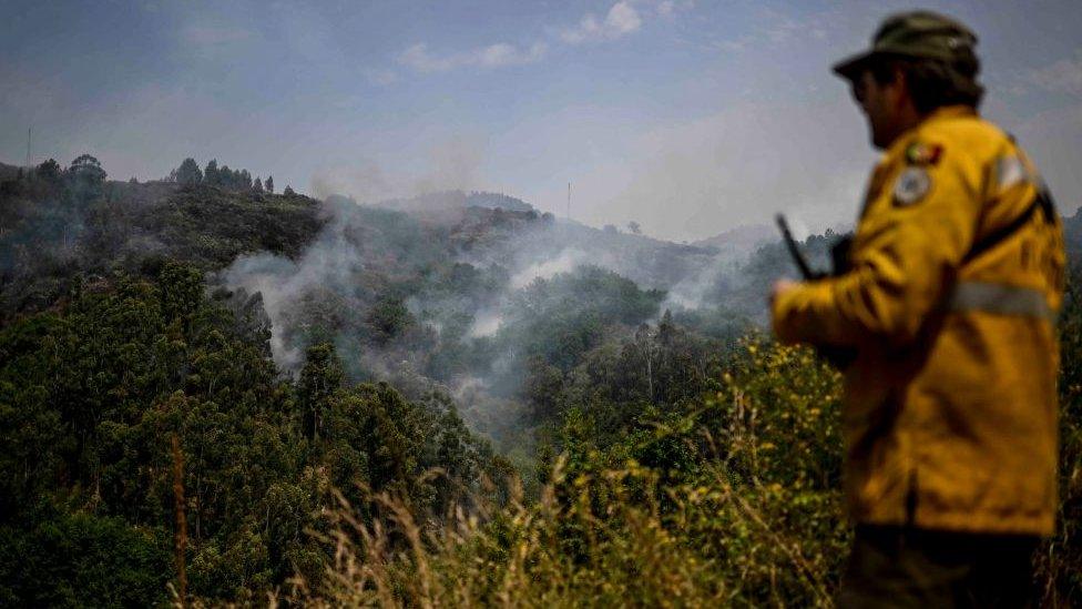 Wildfire in Portugal