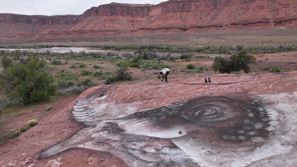 David Popa's Tyrannosaurus Rex in Utah