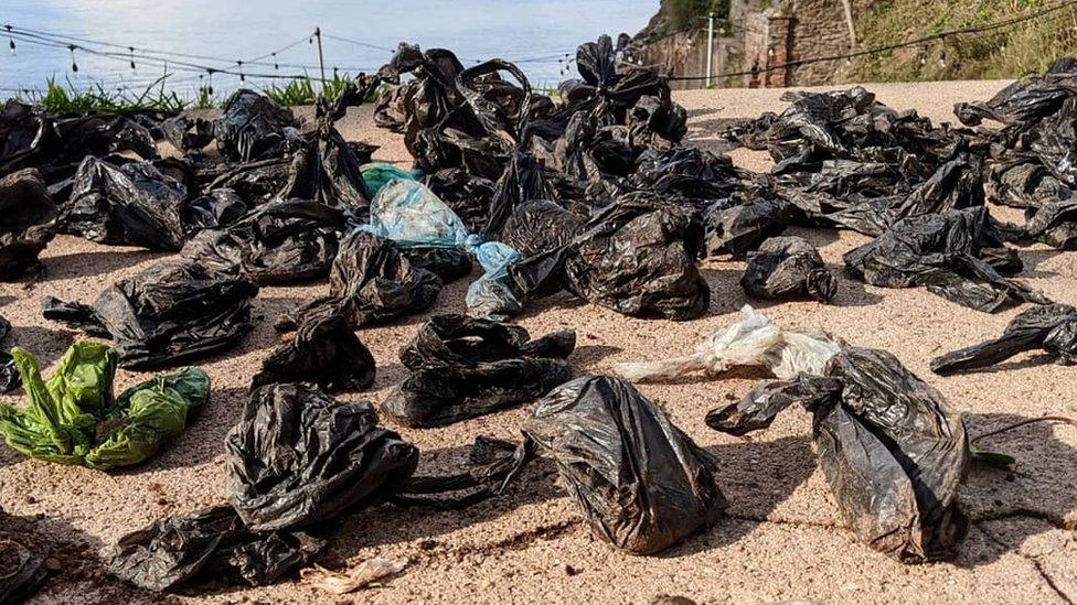 Dog poo bags, Me and The Plastic Sea