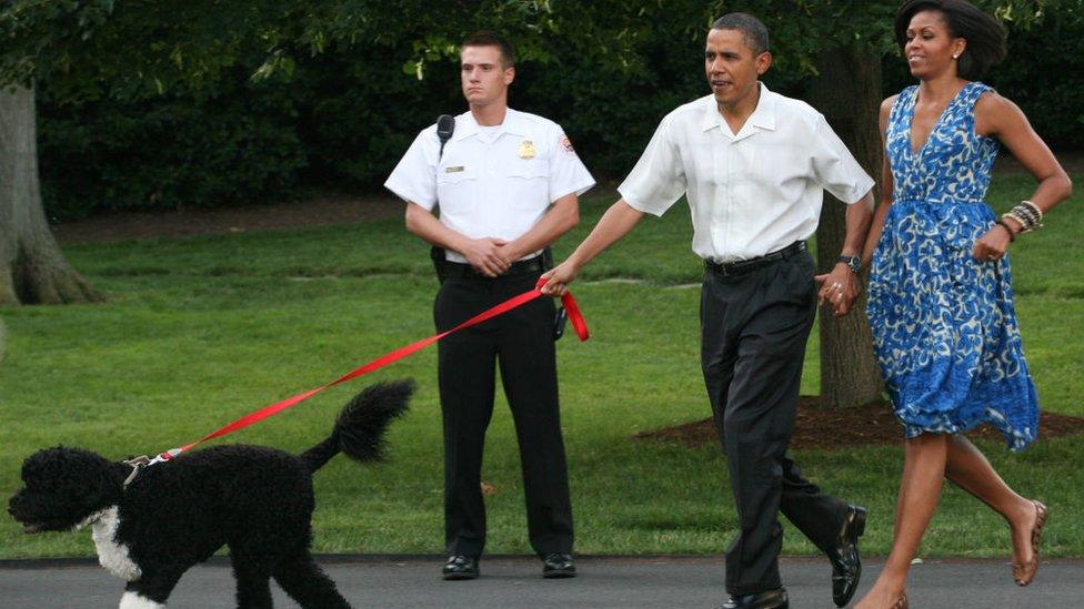 Michelle and Barack Obama walking their dog