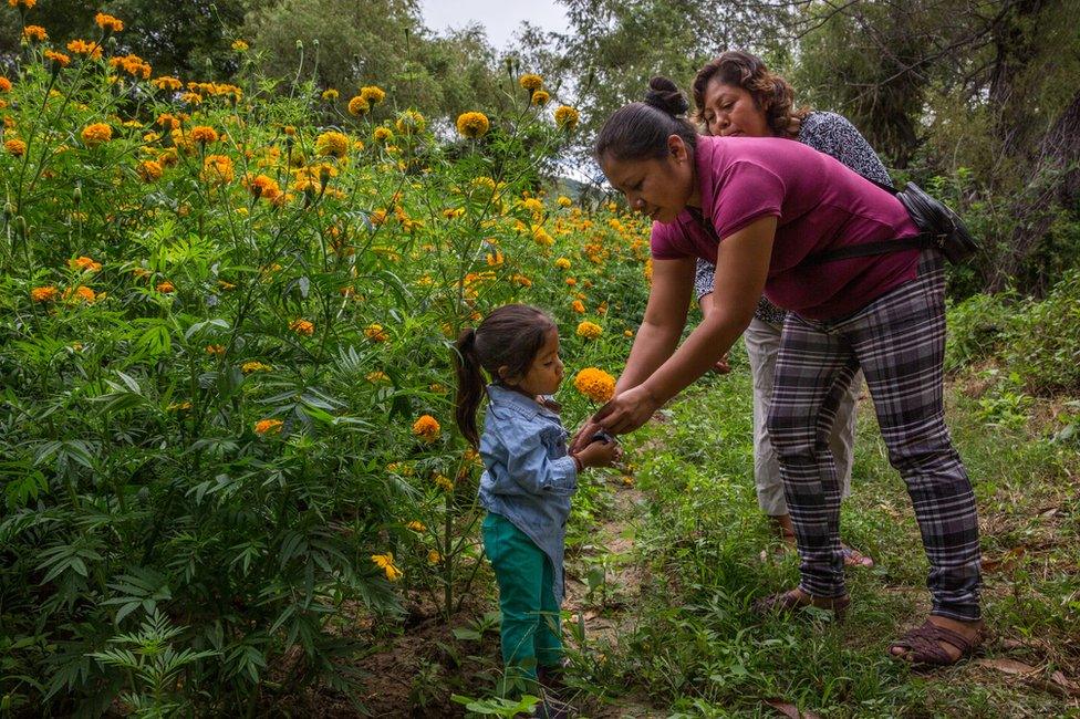 (L-R) Xiamara Kaori Flores, Jazmin Sanchez, 34, and Maria del Rosario Rodriguez, talk about their murdered relatives, in Acatlán, Puebla