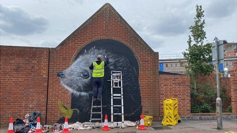 The hedgehog mural at the High Chelmer shopping centre in Chelmsford