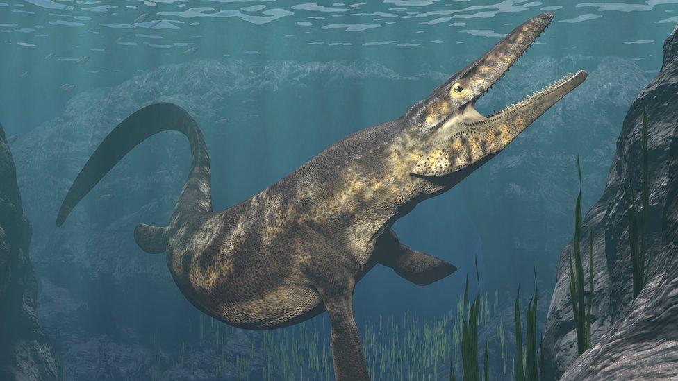 Mosasaur illustration