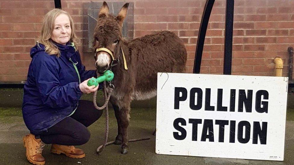 Isla the donkey gets into the festive electioneering in Broughton Astley