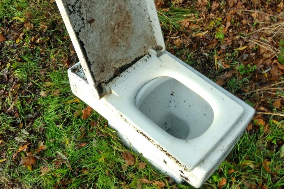 Dumped toilet