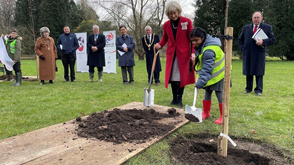 School pupil Gursharan, 11, helps to plant one of the trees