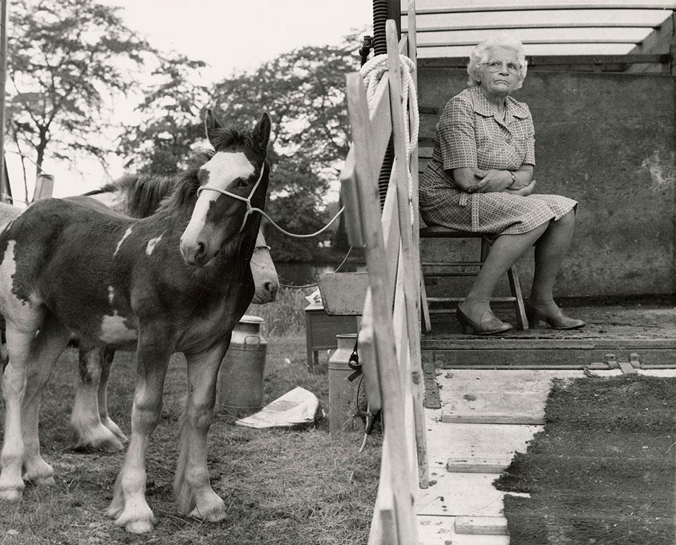 A woman sits on a chair and looks out of a horsebox trailer with a horse standing alongside it