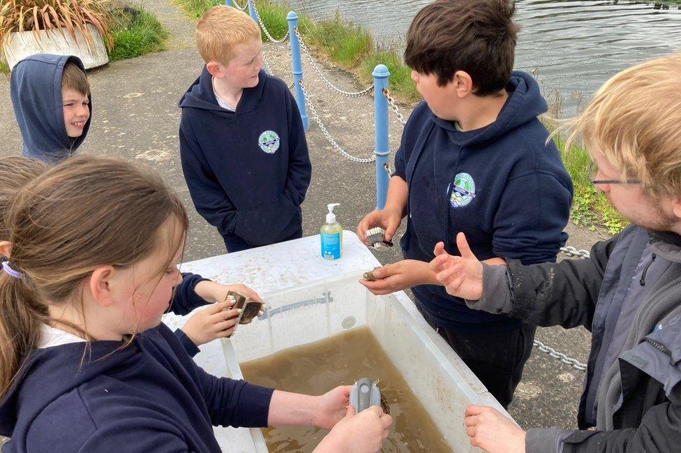 Children from Seaview Integrated Primary School in Glenarm