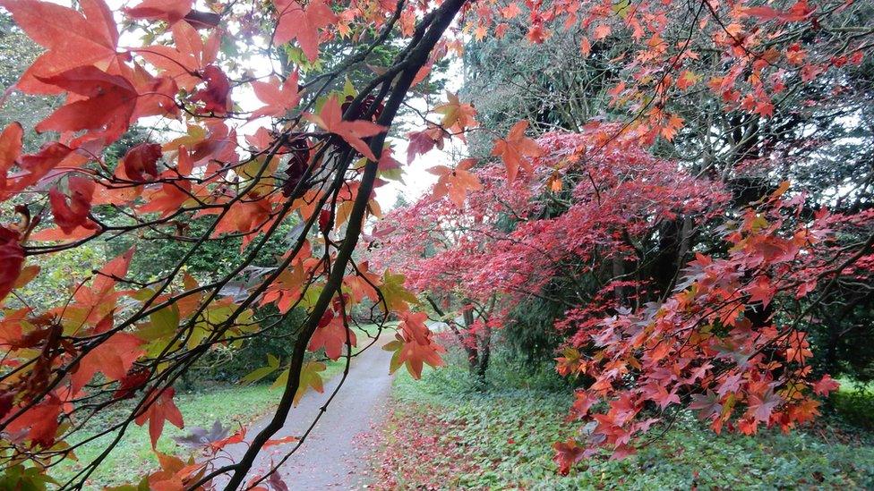 Dyffryn Gardens in St Nicholas, Vale of Glamorgan.