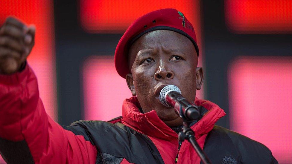 Julius Malema