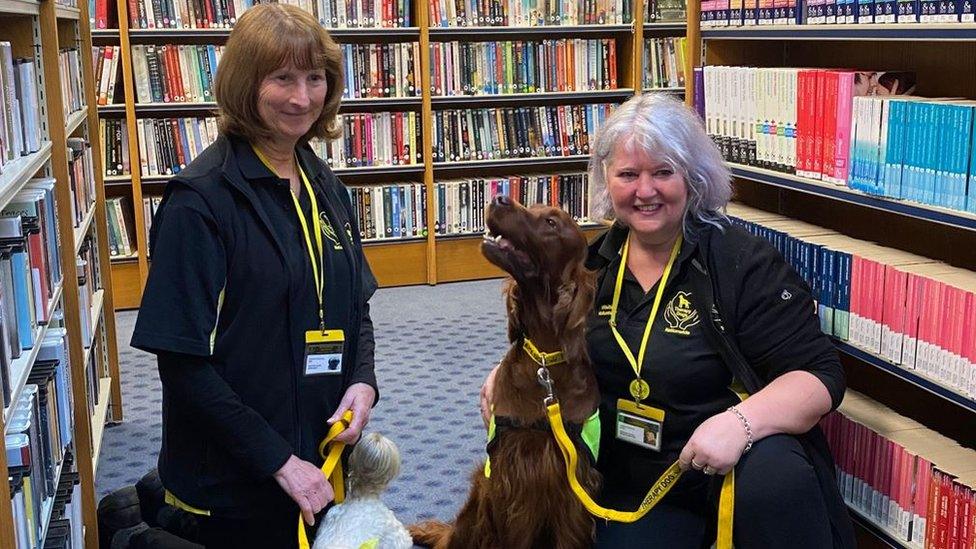 Therapy Dogs Nationwide at Jersey Library with dogs on leads