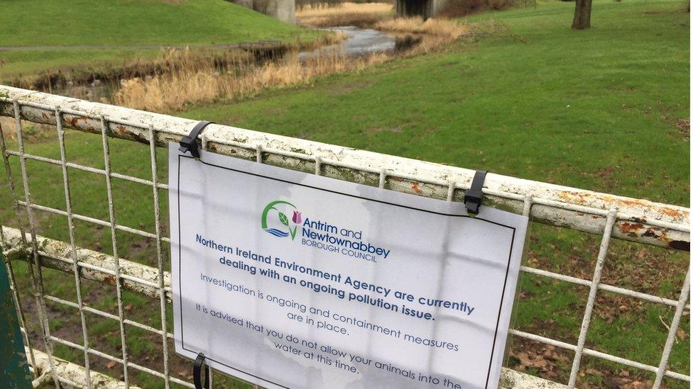 Dog owners have been advised to keep their animals out of the river