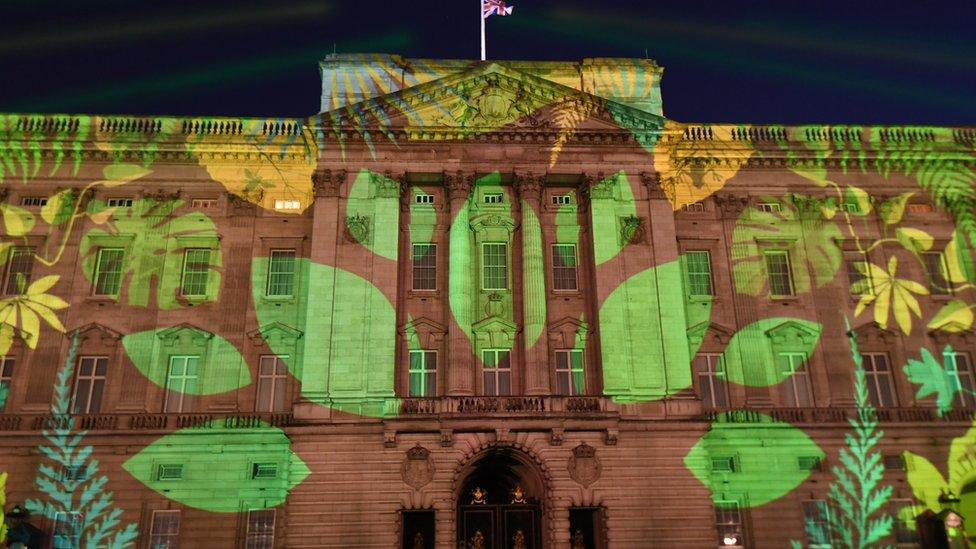 Buckingham Palace lit up like a rainforest