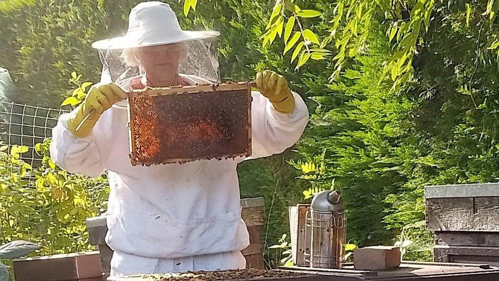 Cathy Williams with her beehives