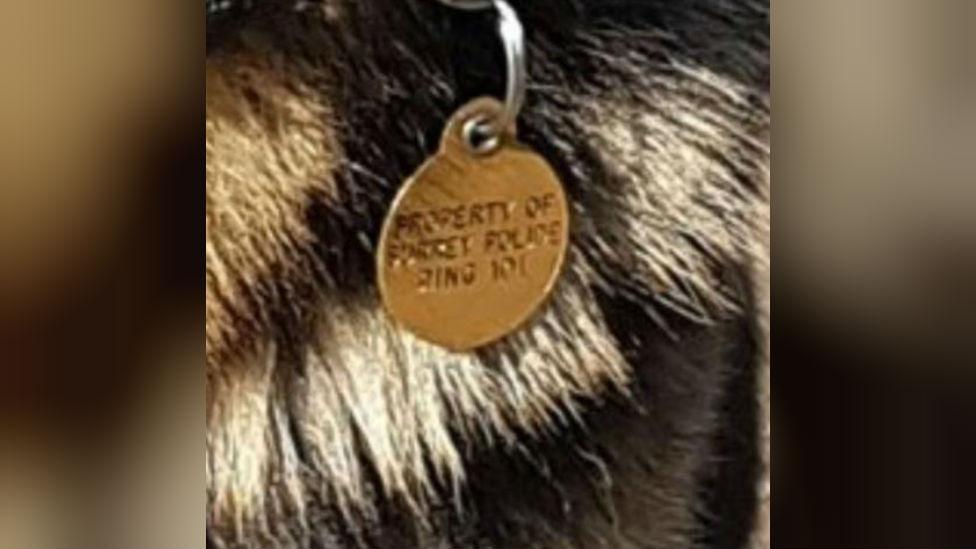 Police dog tag