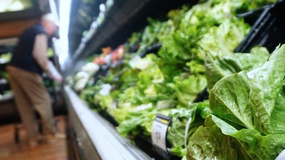 Romaine lettuce on sale in a US supermarket