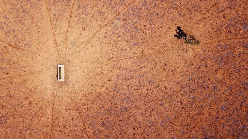 A lone tree stands near a water trough in a drought-affected paddock on Jimmie and May McKeown's property