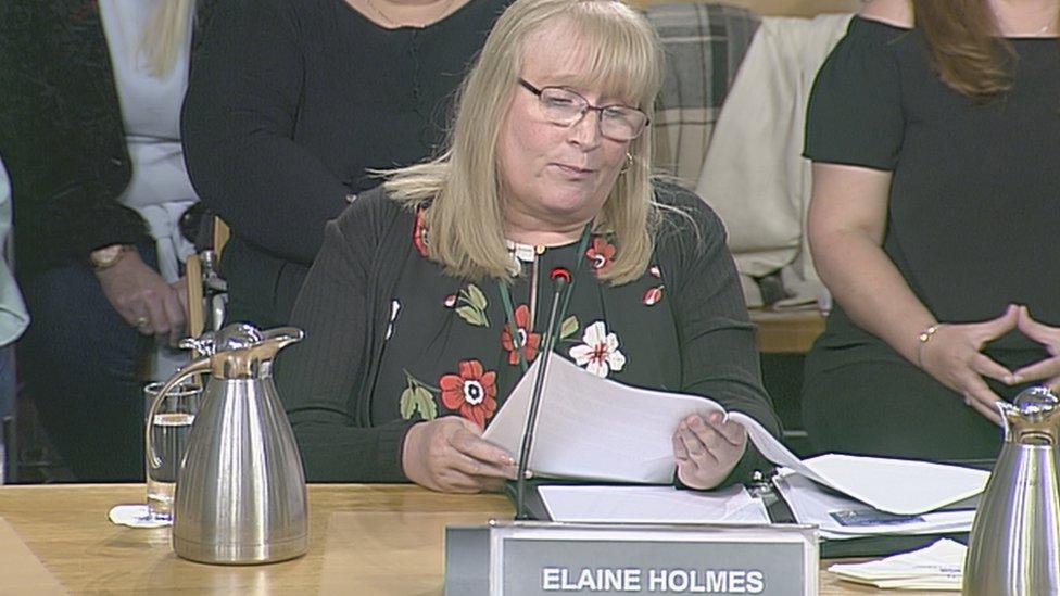 Elaine Holmes said she was "cynically used" by the review group