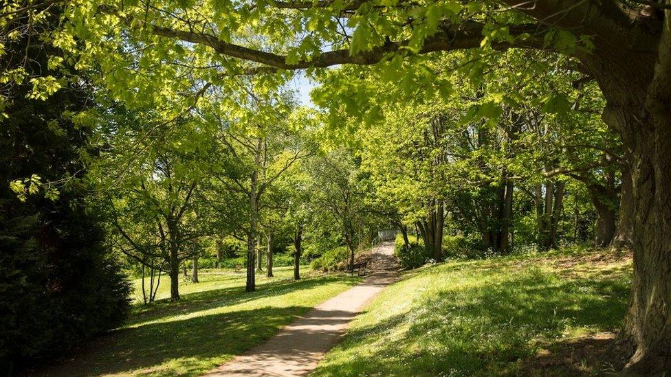 Harlow Town Park