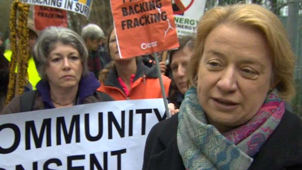 Green Party leader Natalie Bennett at Horse Hill