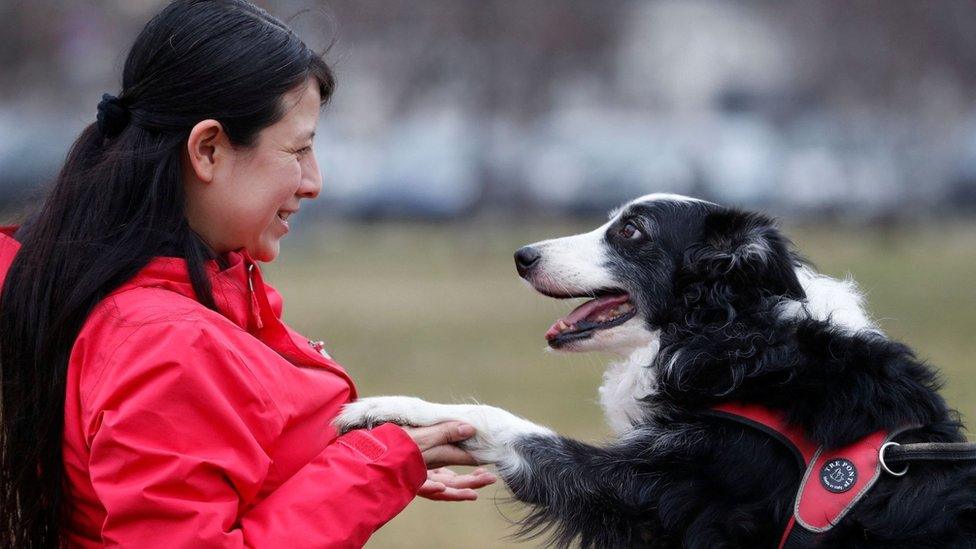 Kun Kun the Collie