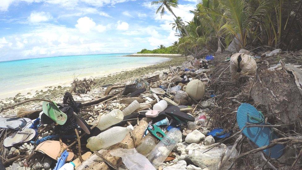 beach debris