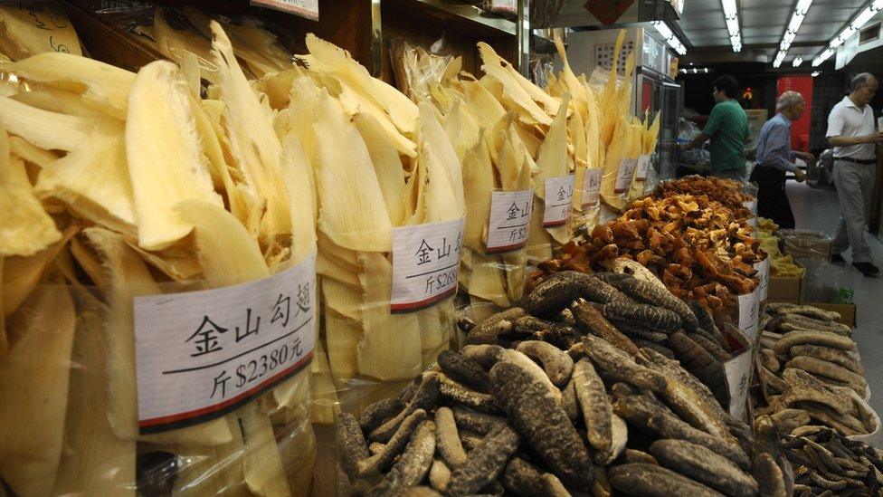 Shark fins displayed for sale in Hong Kong's Shueng Wan district