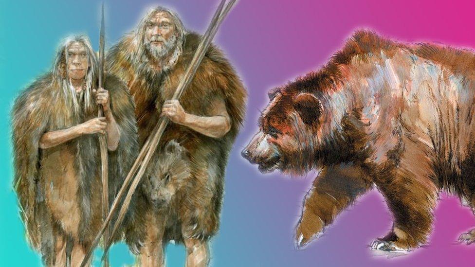 An artistic interpretation of (L) early humans wearing cave bear skins for protection from the cold and (R) a cave bear