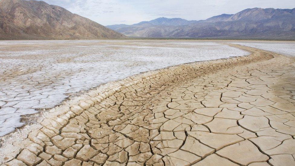 Dry and cracked earth.