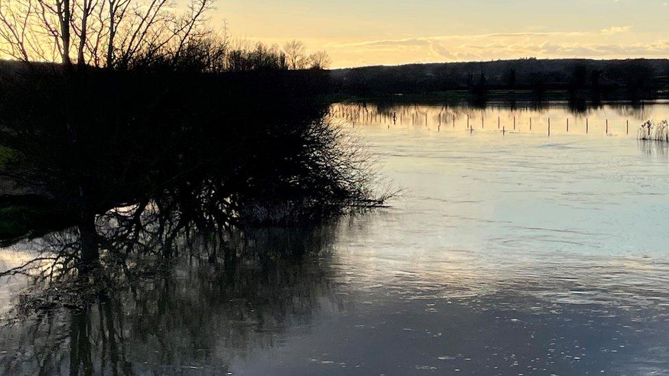 Large area of floodwater with trees and bushes in the foreground