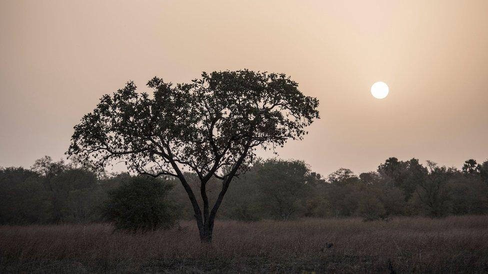 Pendjari national park