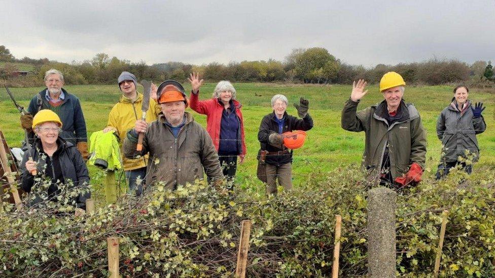 Volunteers hedge-laying