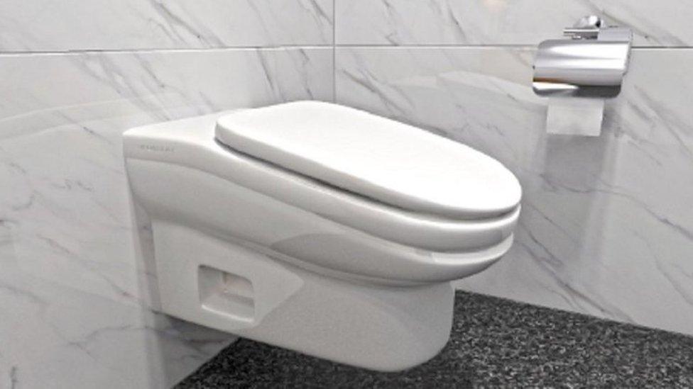 The sloping toilet design shown in a digital mock up