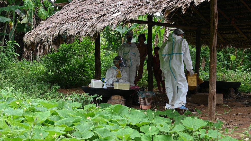 Vaccination hut