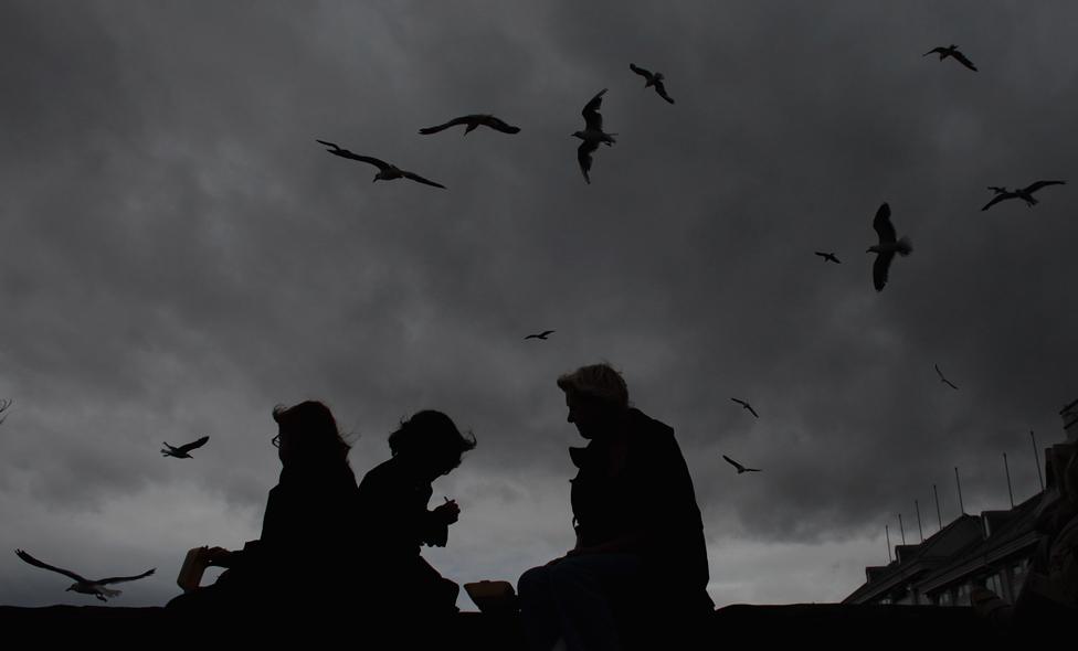 Gulls on the beach at Weston