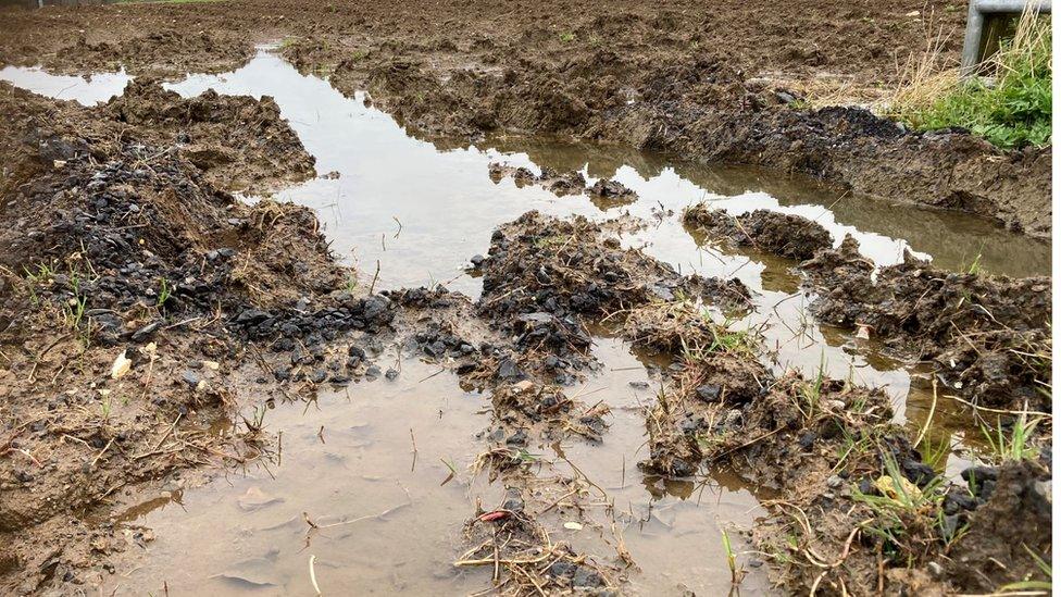 Flooded ground in a field