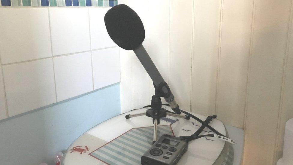 microphone in toilet