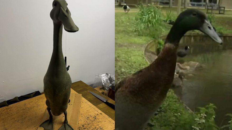 Long Boi: First look at sculpture of University of York duck - BBC News