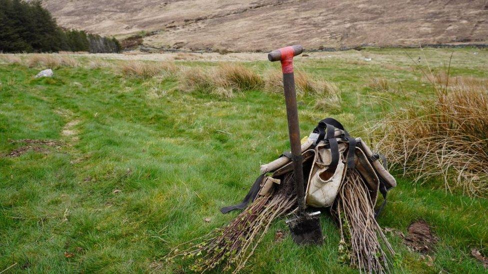 A spade in the ground in the Mourne mountains