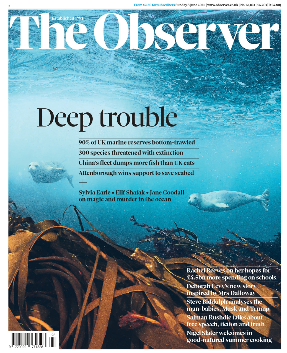 The Observer headline reads: "Deep Trouble" in front of a photo of seals in the ocean