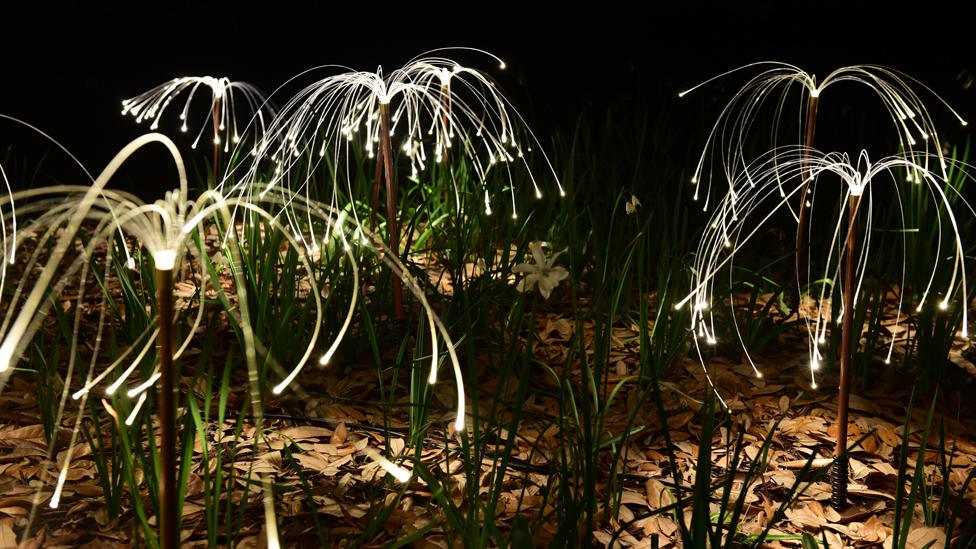 Bruce Munro