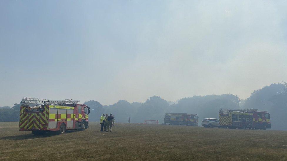 Bradgate Park fire